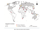 Identifying and explaining the distribution of Chinese-affiliated ports