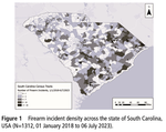 Social determinants of health, driving time to trauma hospitals, racial composition, and firearm violence in South Carolina.